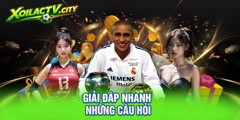 Giải đáp nhanh những câu hỏi